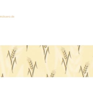 5 x Ludwig Bähr Transparentpapier 115g/qm A4 VE=5 Blatt Christliche Sy