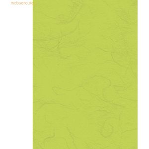 25 x Heyda Strohseide 25g/m 50x70cm hellgrün