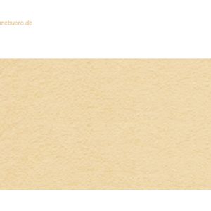 25 x Ludwig Bähr Tonpapier 130g/qm 50x70cm apricose