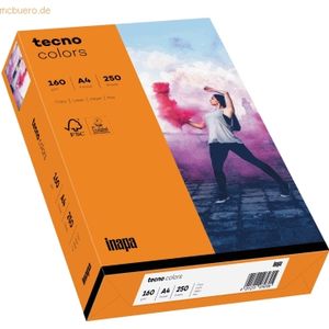 5 x Inapa Multifunktionspapier tecno colors A4 160 g/qm VE=250 Blatt o
