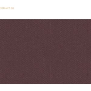 10 x Heyda Universalkarton 220g/qm 50x70cm dunkelbraun