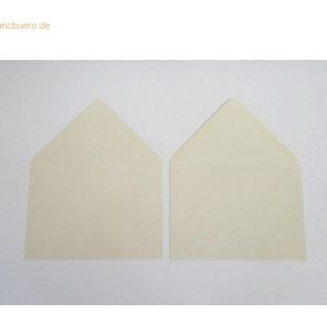 Blanke Briefumschläge 225x315mm 160g/qm gummiert VE=100 Stück chamois