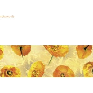 Ludwig Bähr Transparentpapier 115g/qm A4 VE=25 Blatt Flora Islandmohn