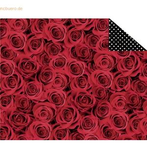 10 x Ludwig Bähr Fotokarton Hochzeit Klassik 300g/qm 49,5x68cm Motiv 0