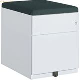 Bisley Sitzkissen für Containersystem BxT 42x56,5cm Farbe YB047 windja