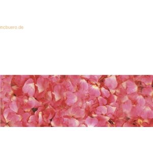 5 x Ludwig Bähr Transparentpapier Rolle 115g/qm 50x61cm Flora Rosenblä