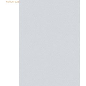 50 x Heyda Universalkarton 220g/qm A4 silber