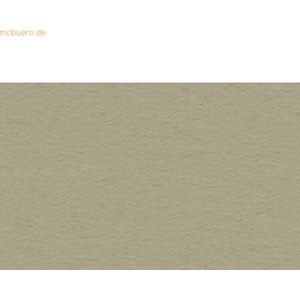 25 x Ludwig Bähr Tonpapier 130g/qm 50x70cm taupe