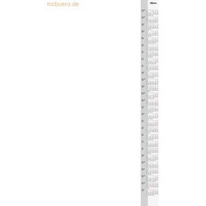 Rido 2-Jahres-Ersatzkalendarium 94x1320mm 2026/2027