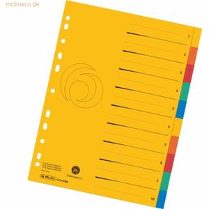 Herlitz Register A4 XXL Manila-Karton 10-teilig 5 Farben