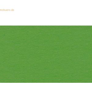 10 x Ludwig Bähr Tonpapier 130g/qm 70x100cm lindgrün