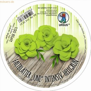 Ludwig Bähr Intensive Faltblätter 'uni' Durchmesser 12cm 65g/qm VE=100