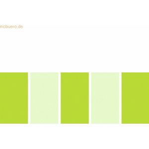 5 x Ludwig Bähr Transparentpapier Rolle 115g/qm 50x61cm Parallelo grün