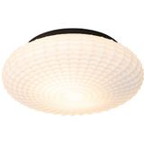 Klassieke plafondlamp zwart met opaal glas 35 cm IP44 - Nohmi