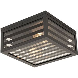 Moderne buiten plafondlamp zwart glas 2-lichts IP44 - Reims