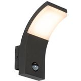 Buitenwandlamp antraciet incl. LED IP54 met bewegingssensor - Litt