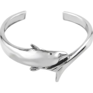Zilveren teenring, dolfijn