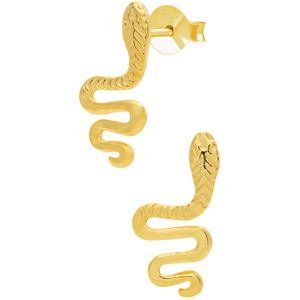 Gold plated oorstekers, slang