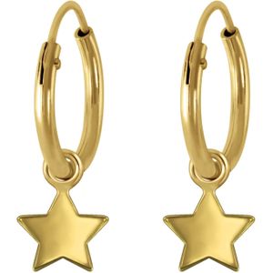 Gold plated oorringen met ster, hanger