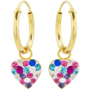 Oorbellen 925 Zilver - Oorringen met Hanger - Gold Plated Oorringen met Hange