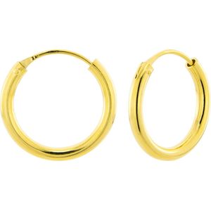 Gold plated oorringen, plain, 20 mm