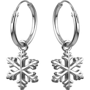 Zilveren oorringen met hanger, ijskristal