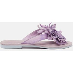 Lazamani  Slippers Dames  Paars  Leer