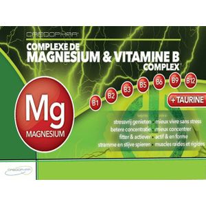 Magnesium & Vit B Complex Capsule 60