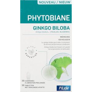 Ginkgo Biloba - Voedingssupplement - 60 Capsules - Plantaardig