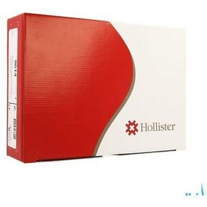 Hollister Beenzakhouder L 4 9614