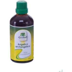 Fytobell Angelica Archangelica Ue Druppels 100 ml