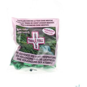 Theratoux Past 100 gr