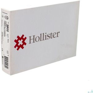 Hollister Tandem Flat Open Midi Transp 10 3802