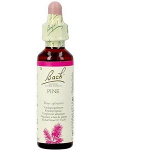 Bach Flower Remedie 24 Pine 20 ml