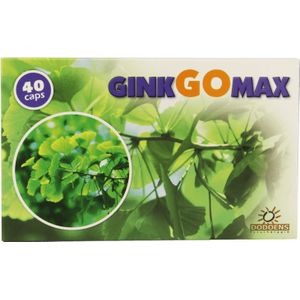 Ginkgomax Capsule 40