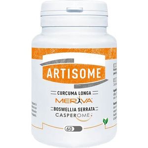 Artisome Tabletten 60 X 1000 mg  -  Dynarop Products