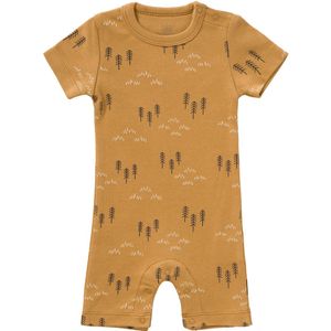 Fresk Boxpakje Woods Spruce Yellow