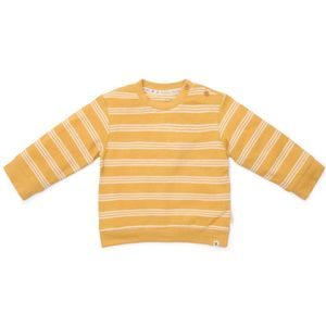 Little Dutch Baby Trui Yellow Stripe