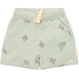 Little Dutch - Korte Broek - Mintgroen - Bugs