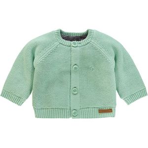 Noppies Baby Vestje Teddy Voering Grey Mint