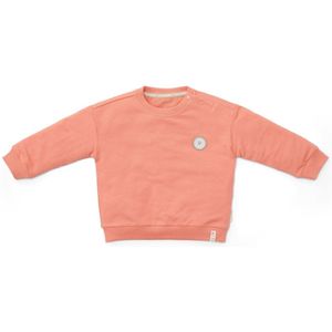 Little Dutch Baby Trui Little Farmer Red