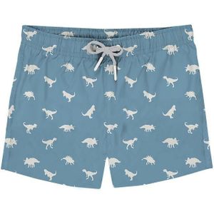 Slipstop Zwembroekje Dino Petrol