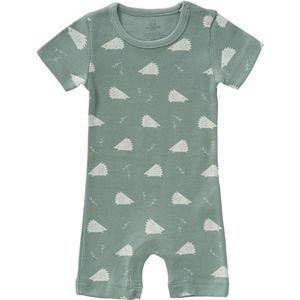 Fresk Boxpakje Hedgehog