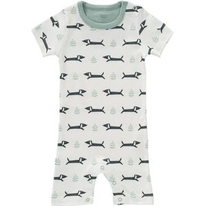 Fresk Boxpakje Dachsy