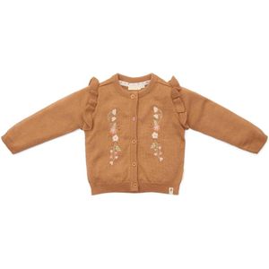 Little Dutch Baby Vestje Gebreid Brown