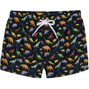 Slipstop Zwembroekje Dino