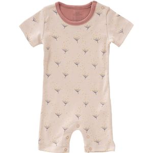 Fresk Boxpakje Dandelion