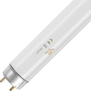 SPL | UV-lamp G13 | 18W