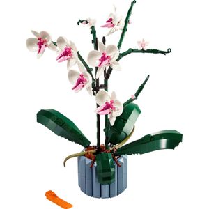 LEGO Icons Orchidee - 10311