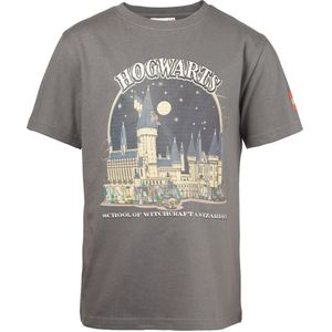 Harry Potter T-shirt - grijs